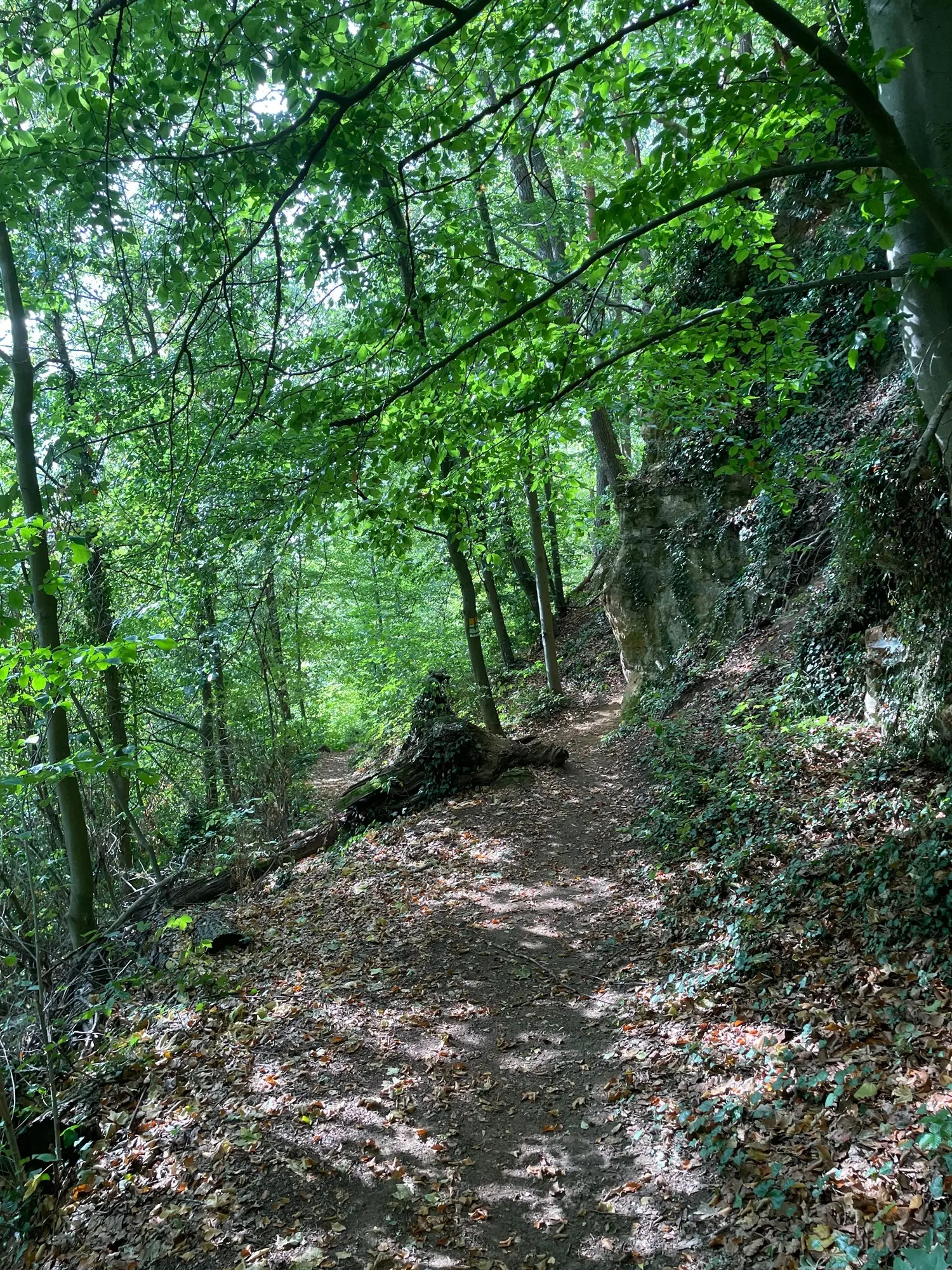 Hersbrucker Alb | © Henri / Öffigruppe