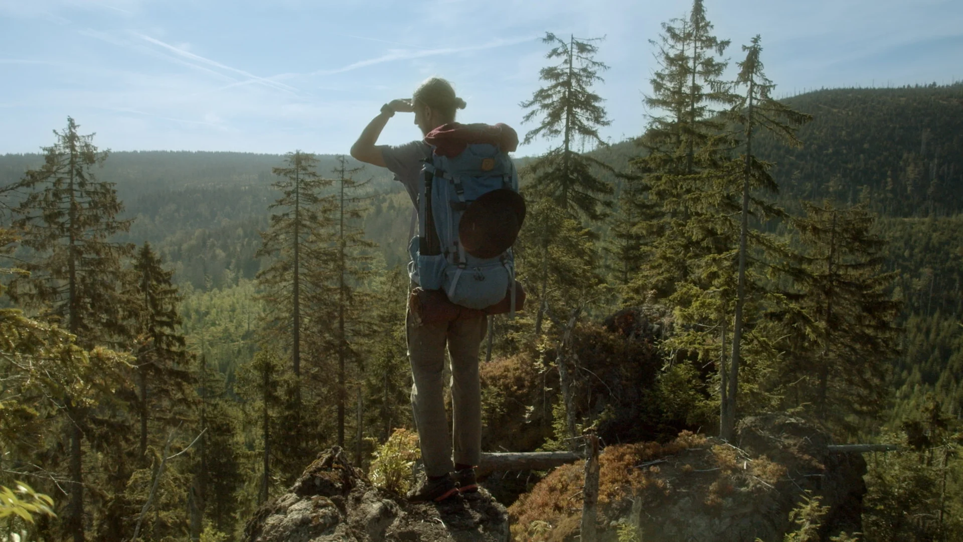 Bergkino "Der Wilde Wald" | © Mindjazz