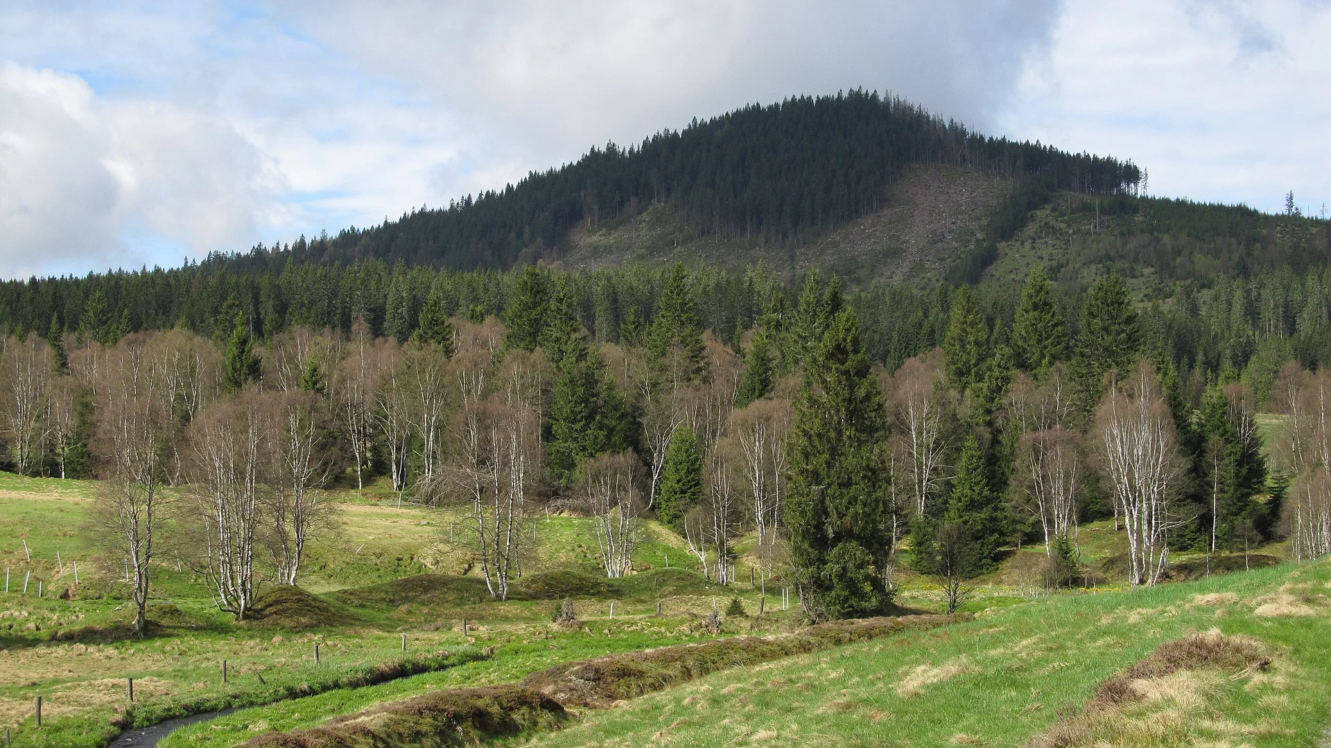 © creative commons / Peku