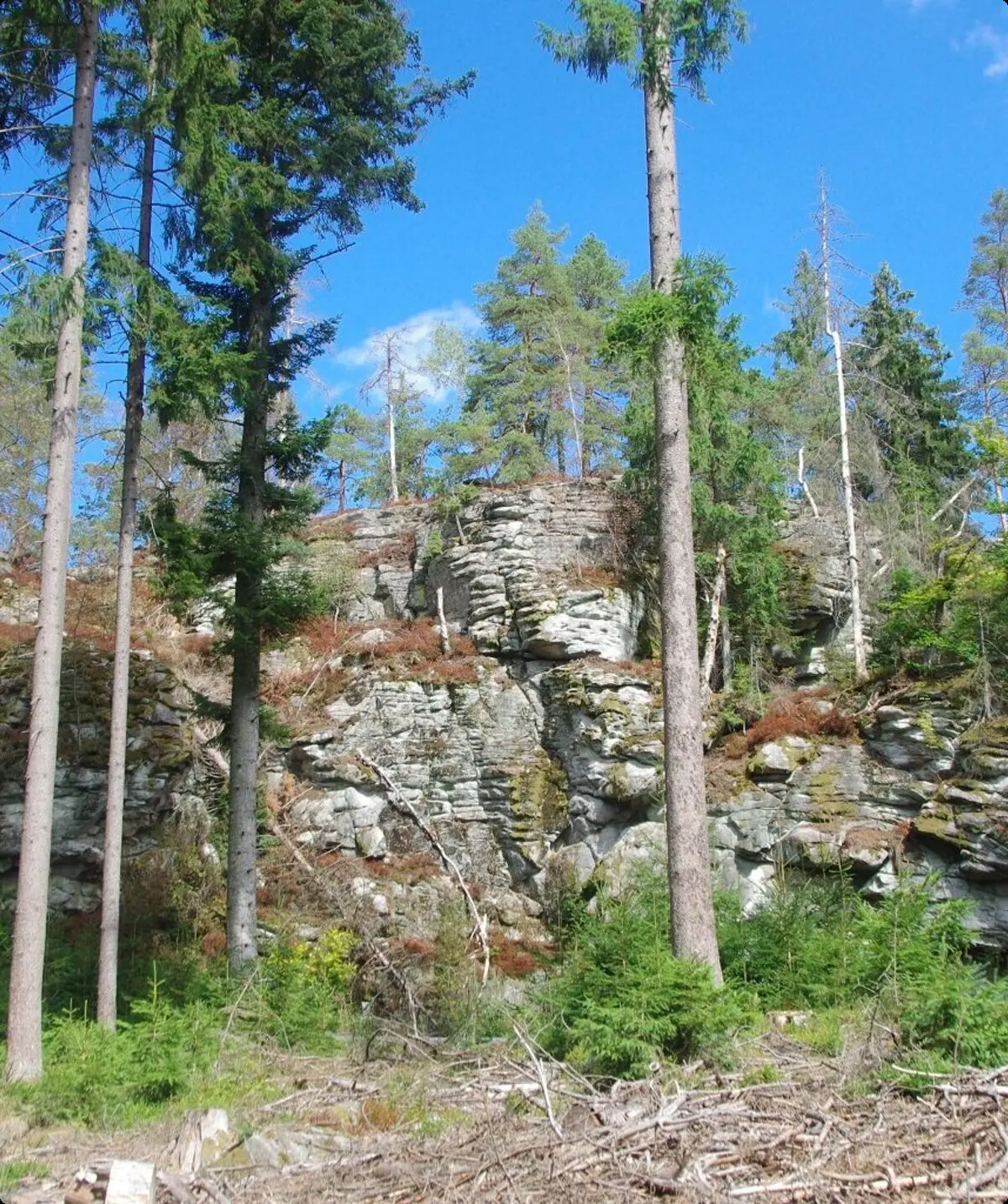 Felsgruppe im Steinwald | © Toni Putz