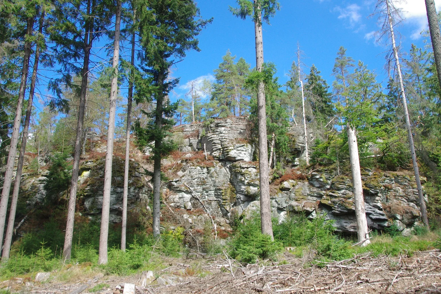 Felsgruppe im Steinwald | © Toni Putz