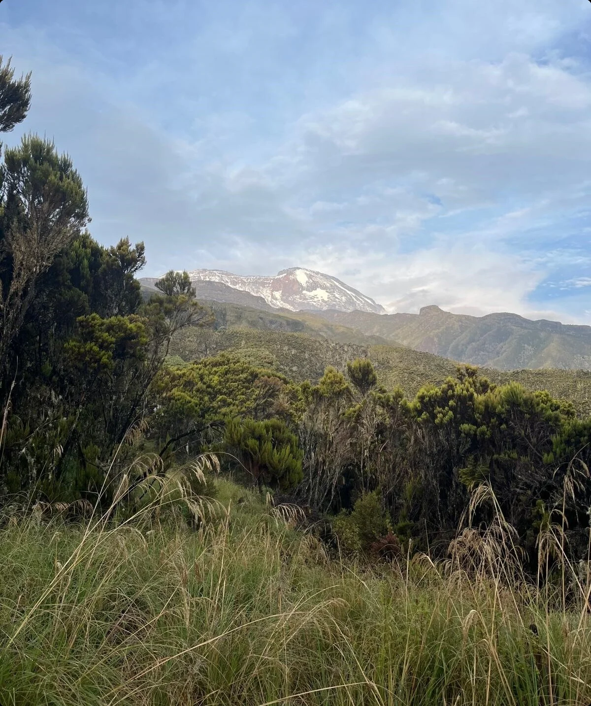 © Katharina Leipfinger