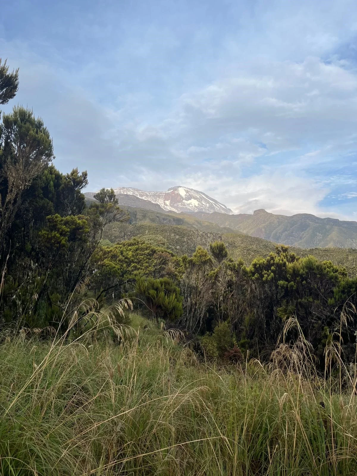 © Katharina Leipfinger