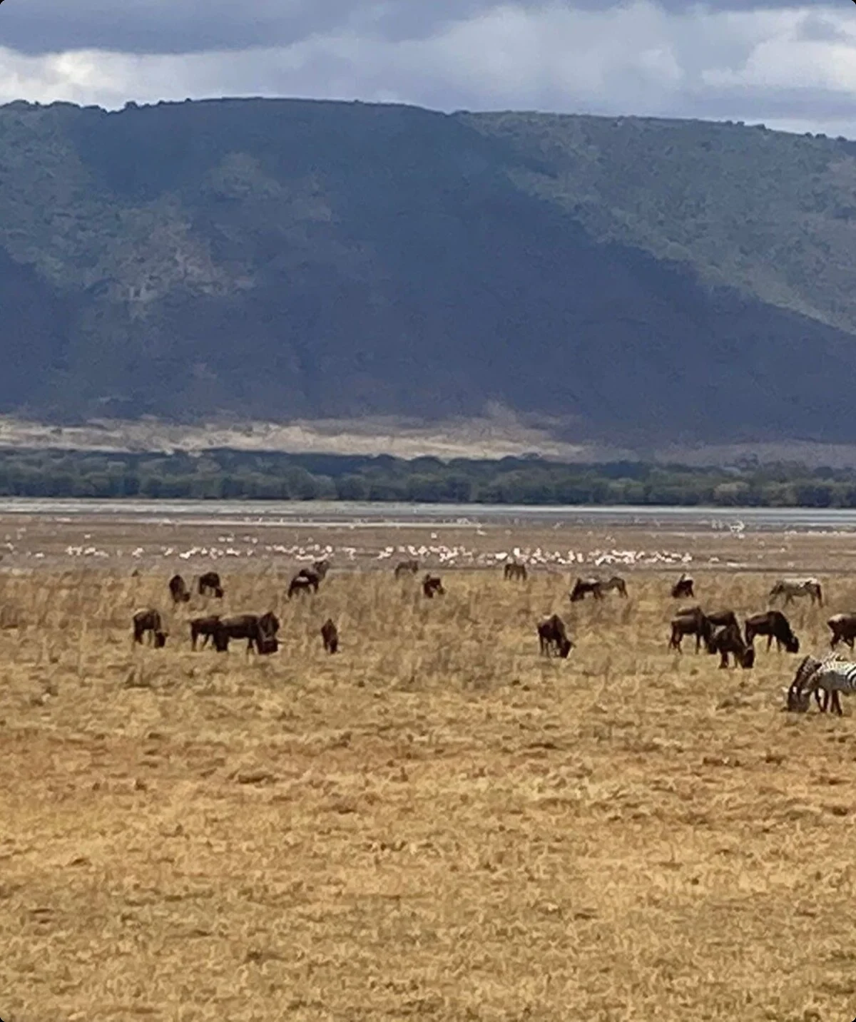 © Katharina Leipfinger