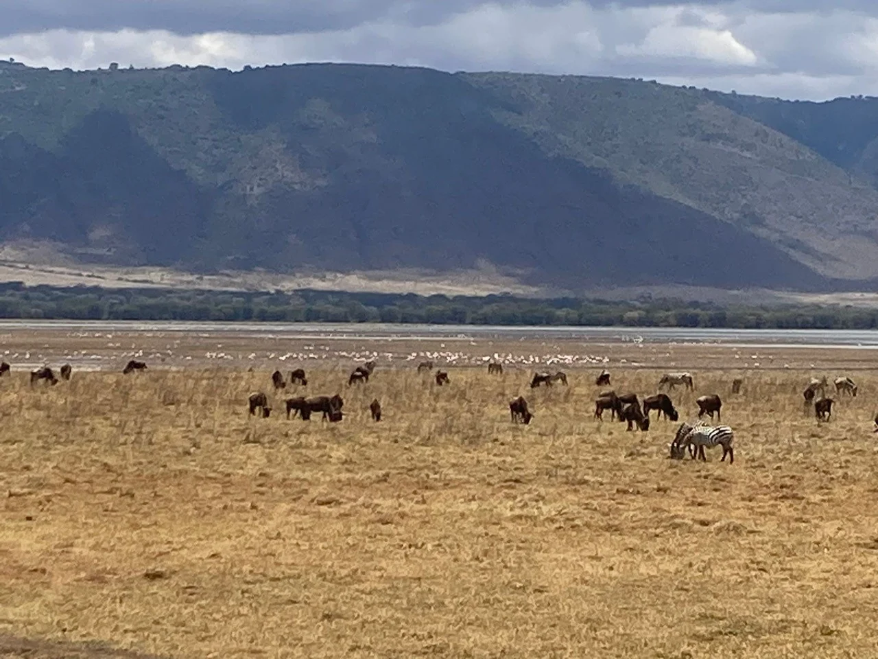 © Katharina Leipfinger