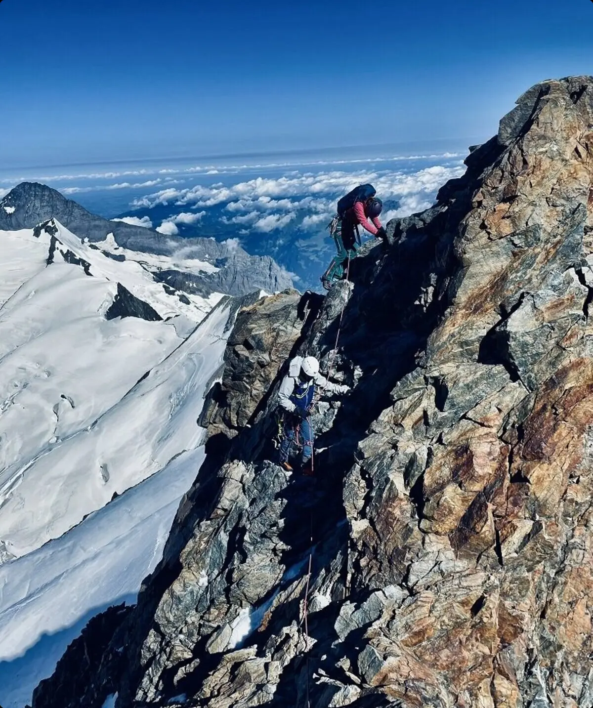 © Axel Weigl/Ludwig Simek