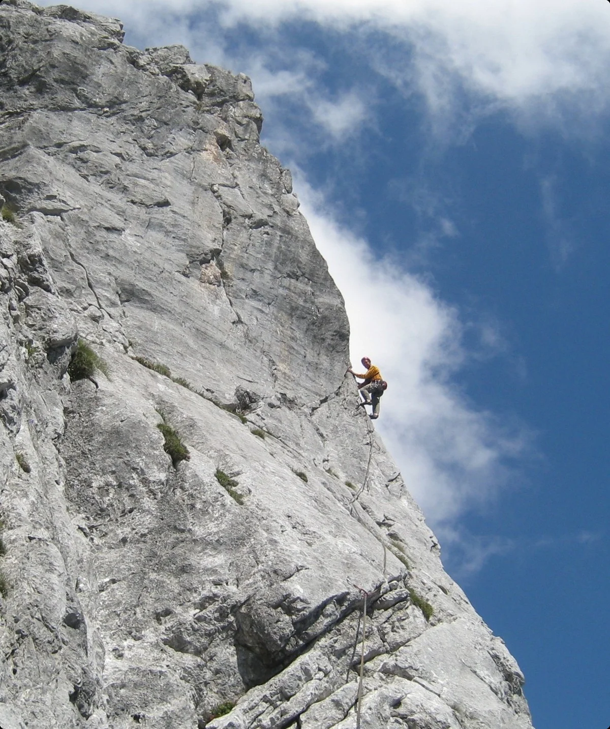 Kopfkraxe Gemini | © Dr. Georg Draeger