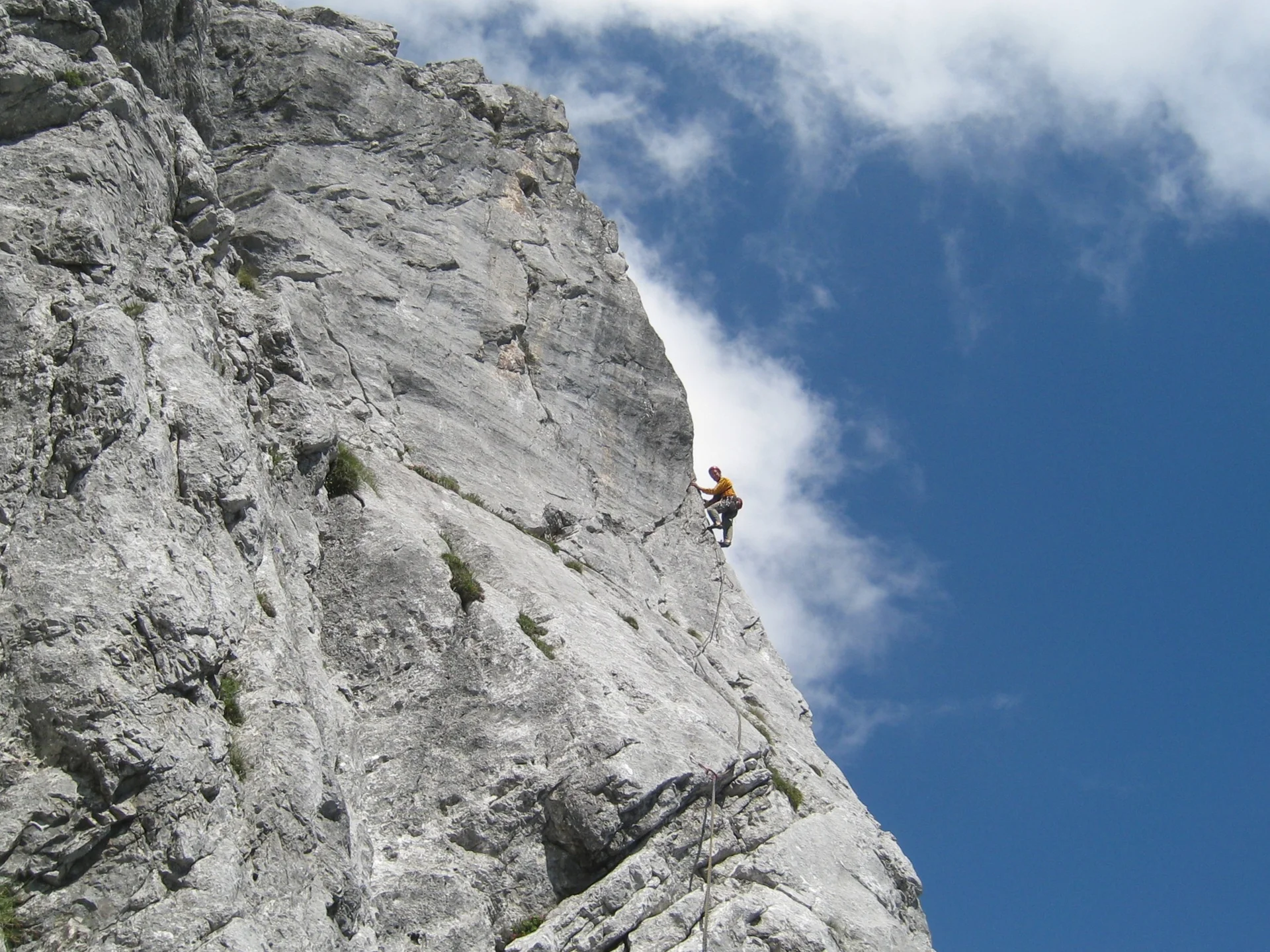 Kopfkraxe Gemini | © Dr. Georg Draeger