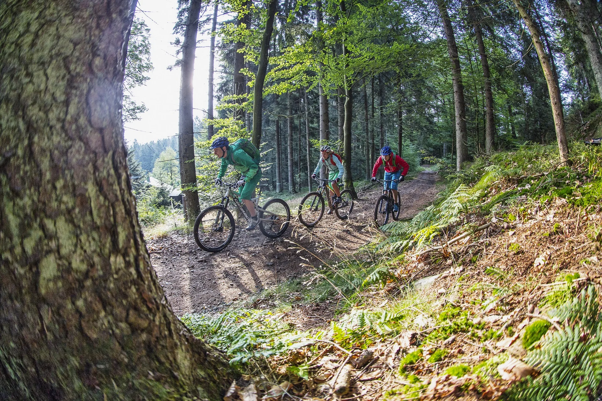 © Tourismusverband Ostbayern/Andreas Meyer