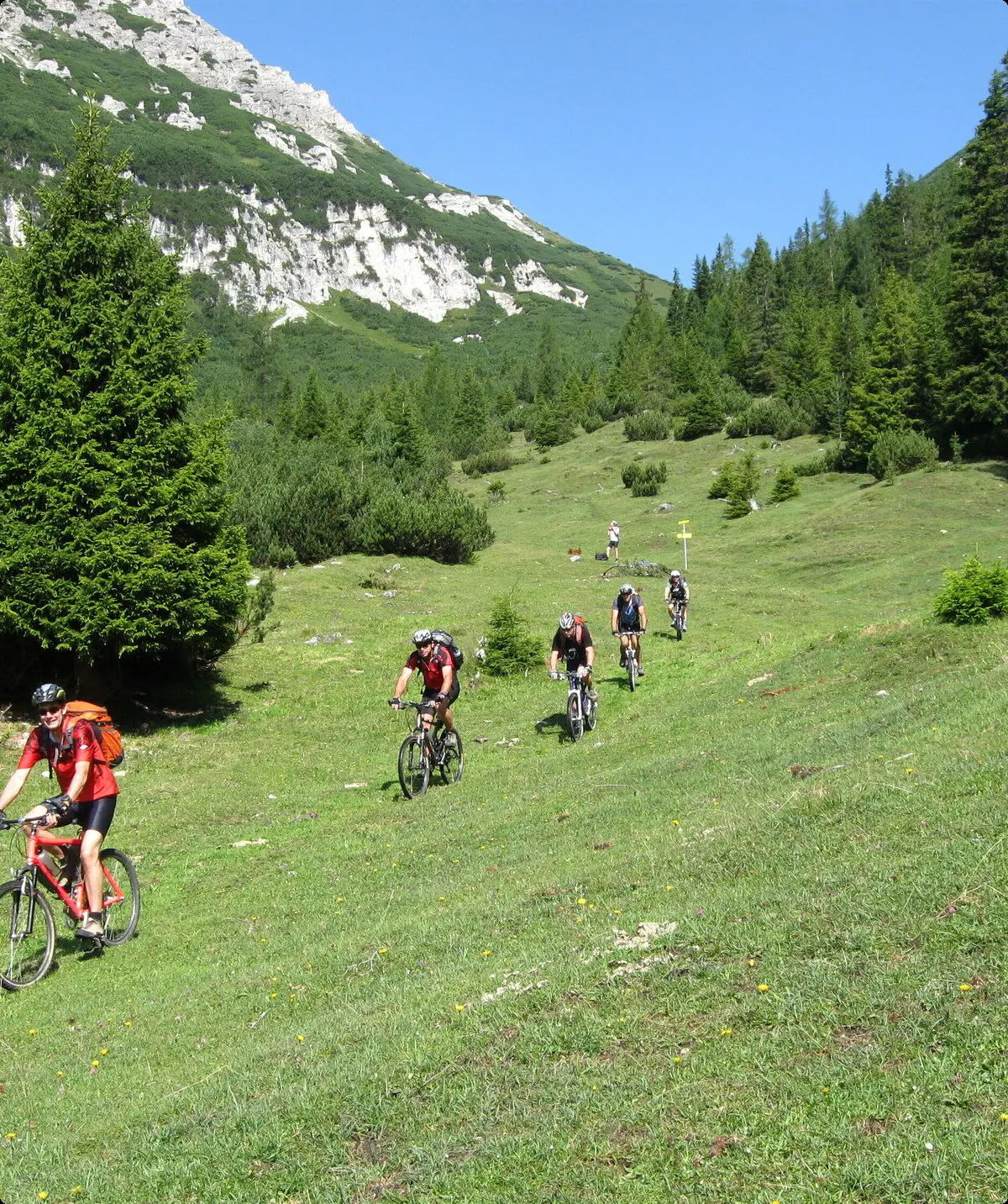 © Dr. Georg Draeger