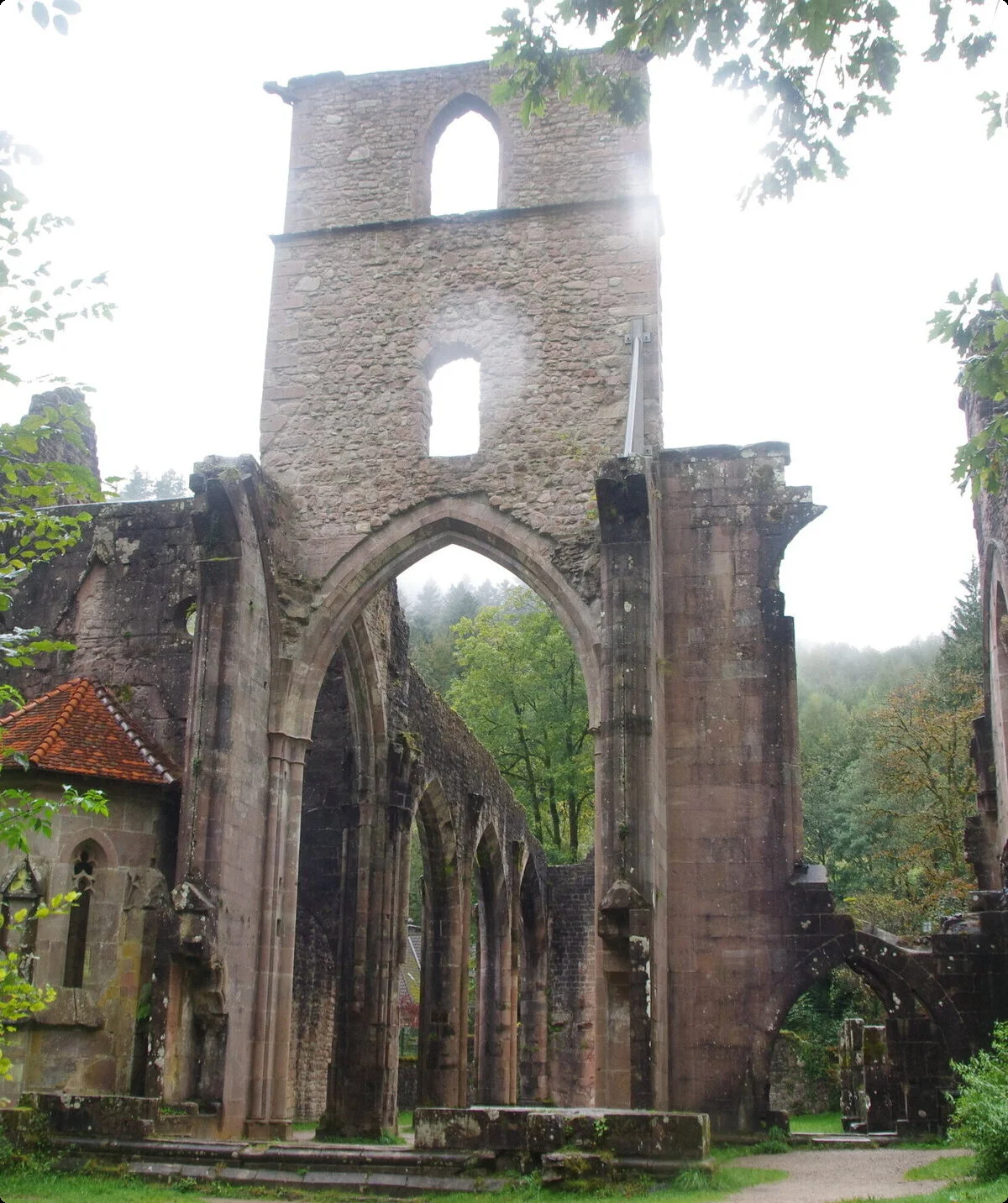Schwarzwald Nord | © Toni Putz