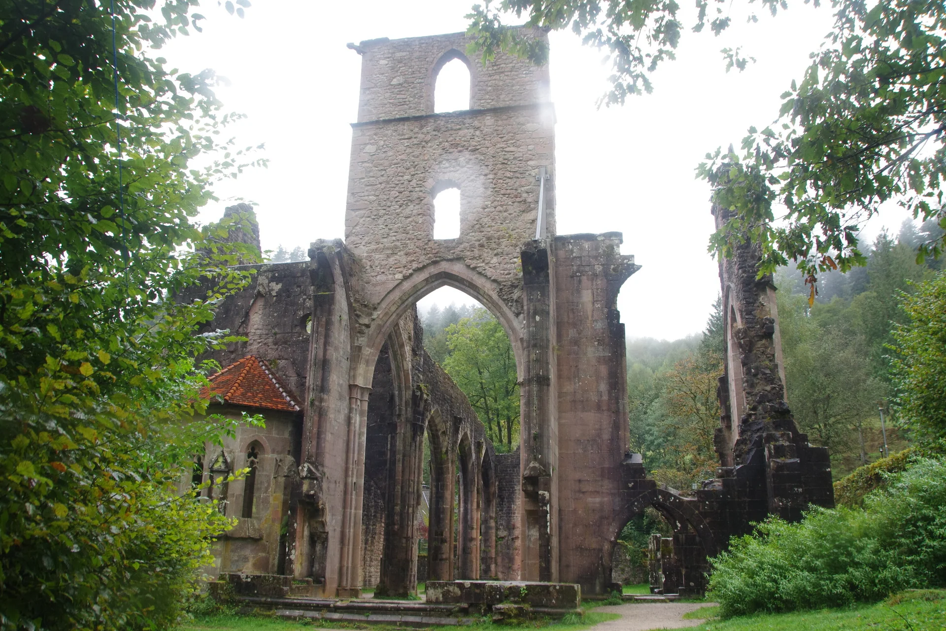 Schwarzwald Nord | © Toni Putz