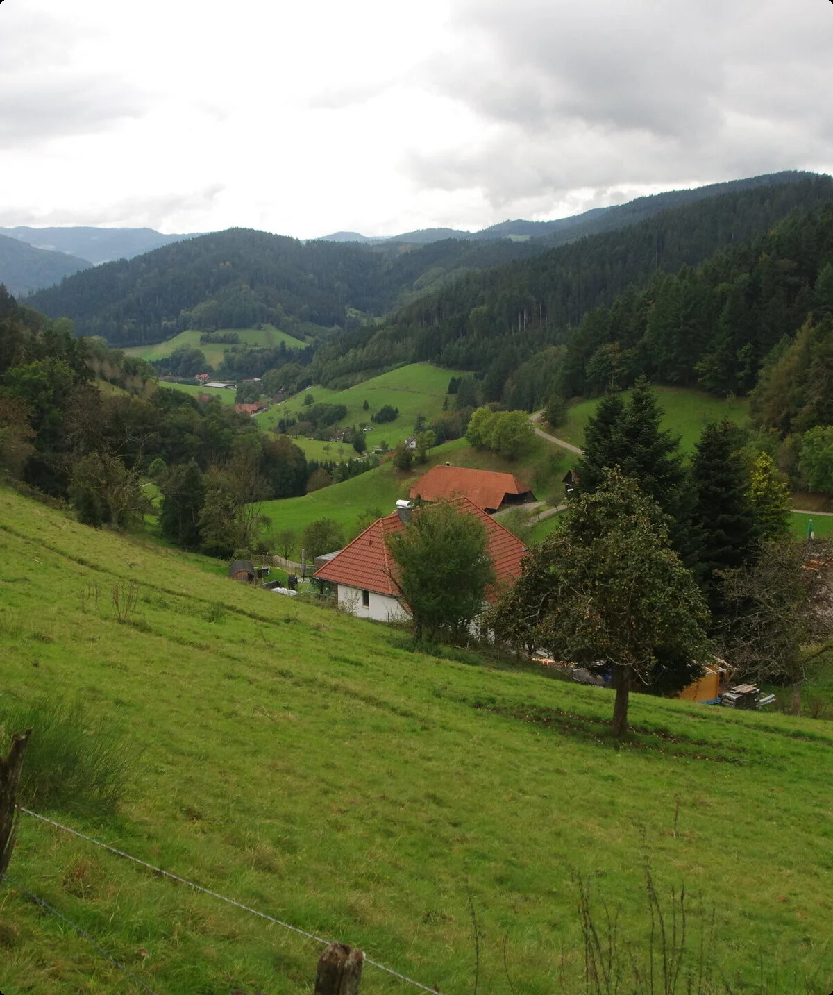 Schwarzwald Nord | © Toni Putz