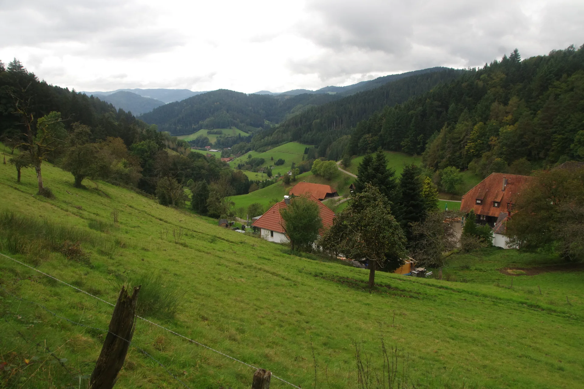 Schwarzwald Nord | © Toni Putz