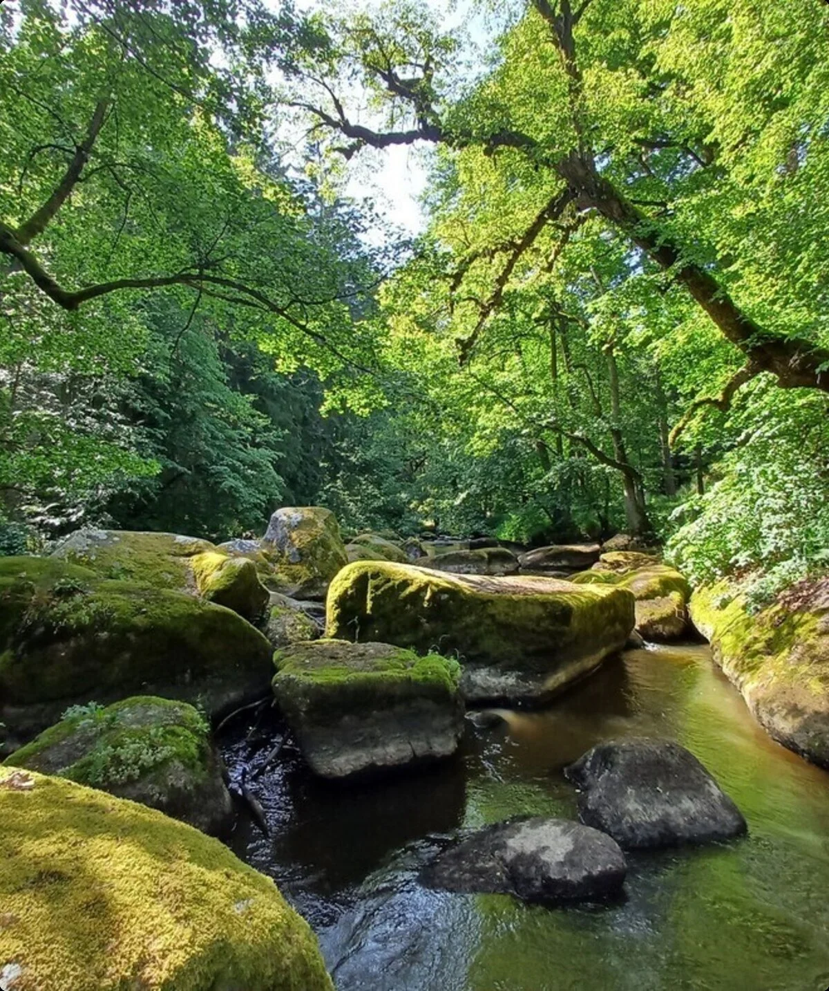 Goldsteig | © Ostbayern Tourismus