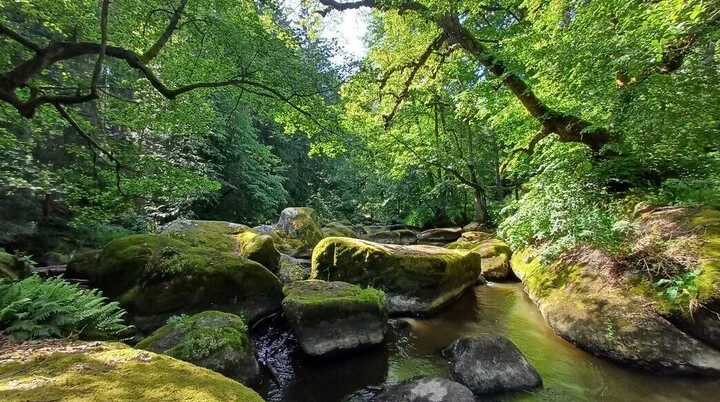 Goldsteig | © Ostbayern Tourismus