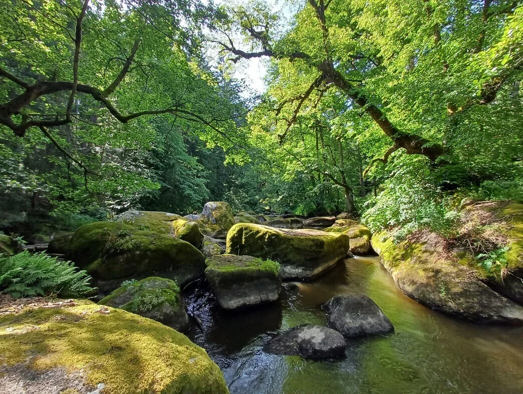 Goldsteig | © Ostbayern Tourismus