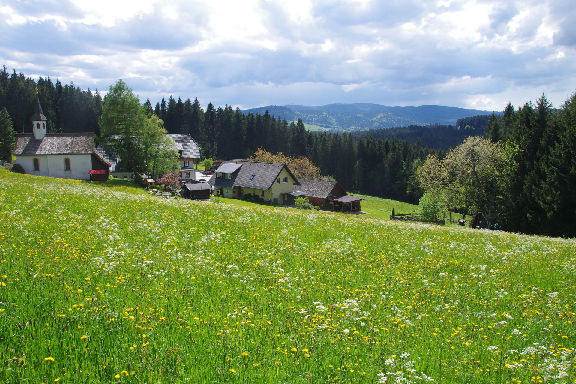 Schwarzwald Süd | © Toni Putz