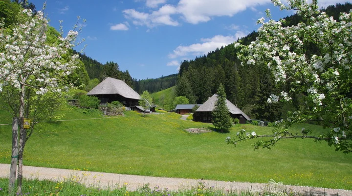 Schwarzwald Süd | © Toni Putz