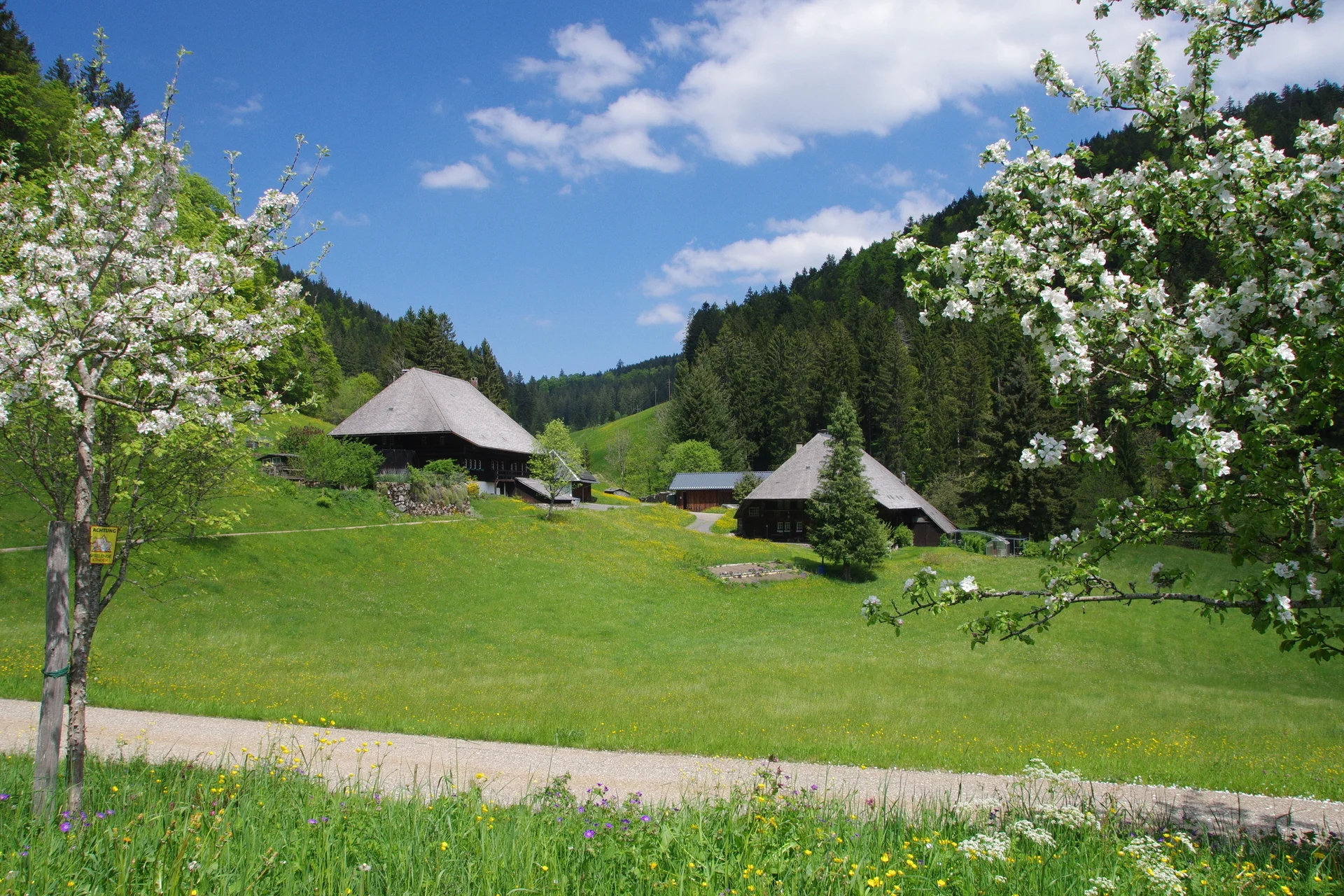 Schwarzwald Süd | © Toni Putz
