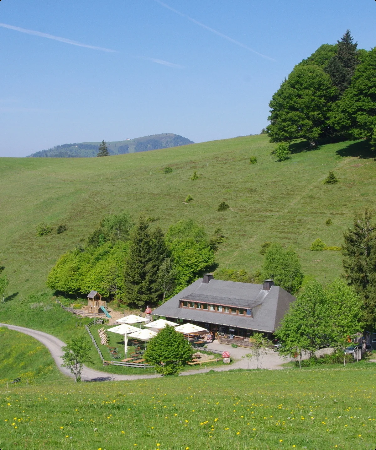 Schwarzwald Süd | © Toni Putz