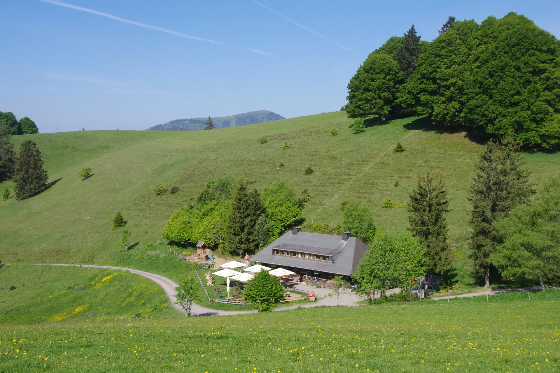 Schwarzwald Süd | © Toni Putz