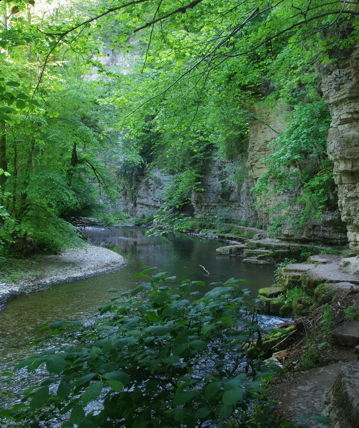 Schwarzwald Süd | © Toni Putz