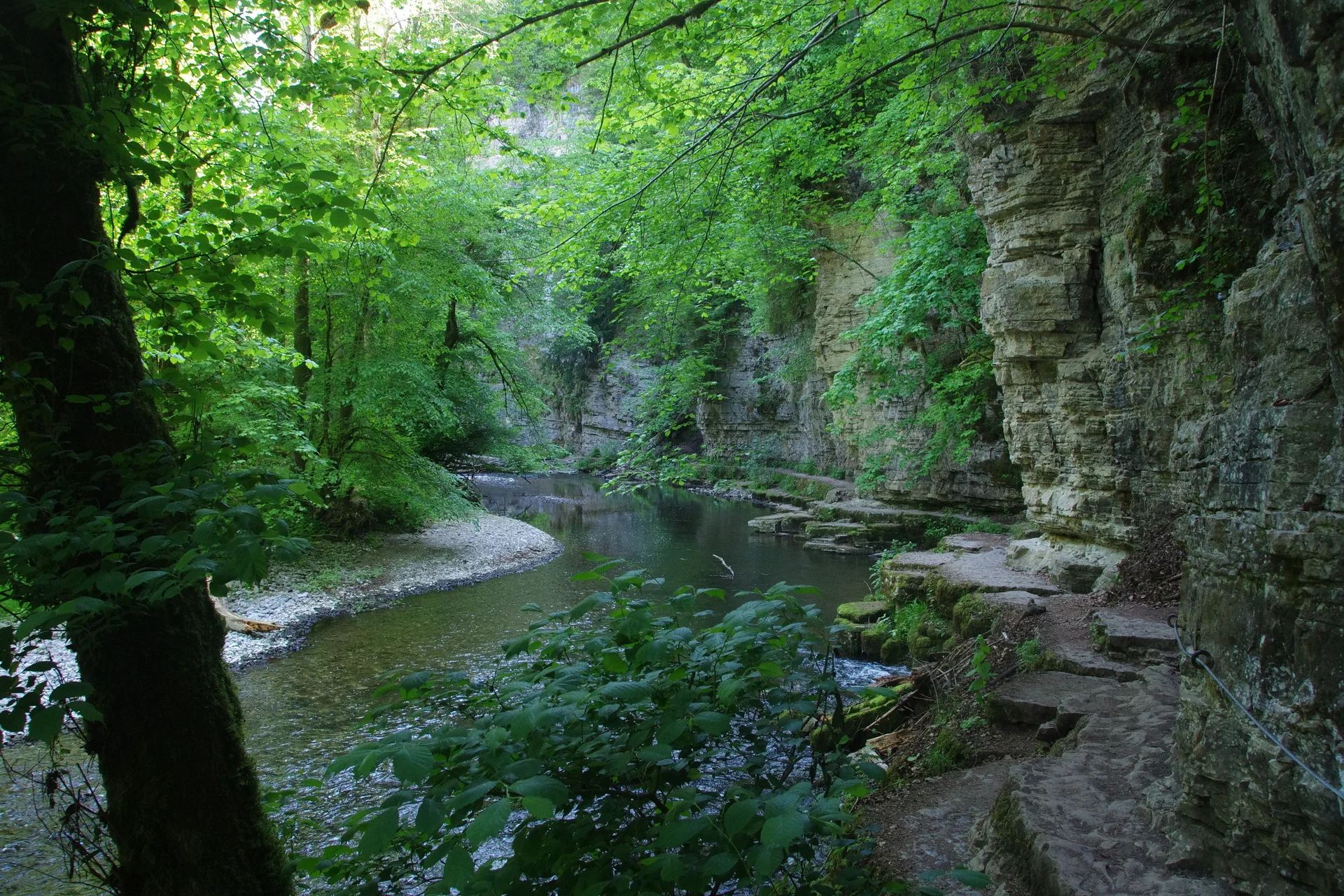 Schwarzwald Süd | © Toni Putz