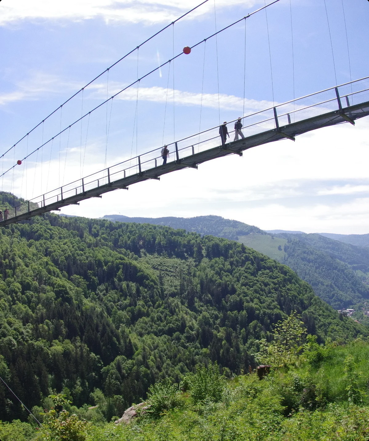 Schwarzwald Süd | © Toni Putz