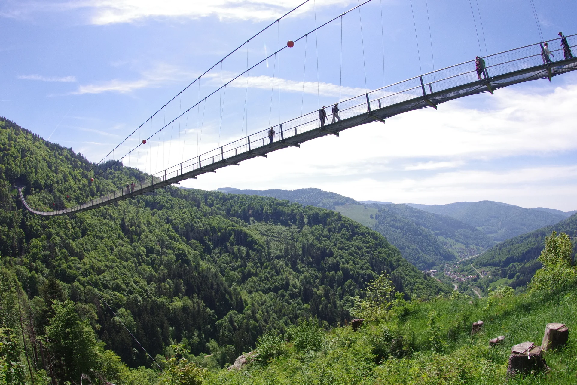 Schwarzwald Süd | © Toni Putz
