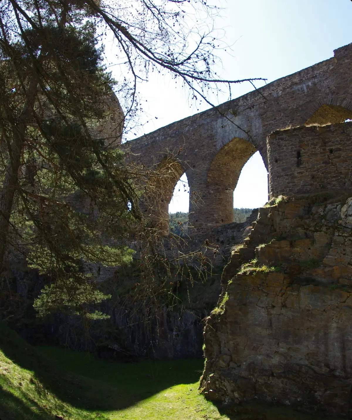 Böhmen | © Toni Putz