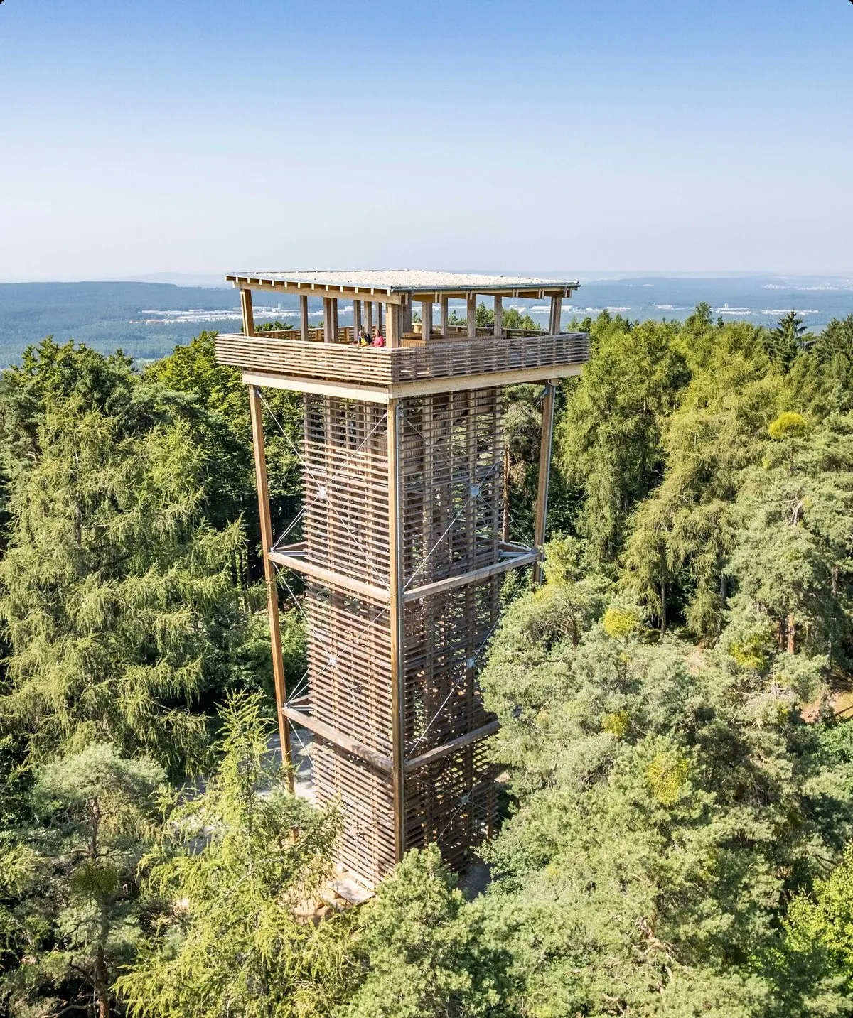 Wandern mit Aussicht auf die Oberpfälzer Seen | © Zweckverband Oberpfälzer Seenland, Thomas Kujat