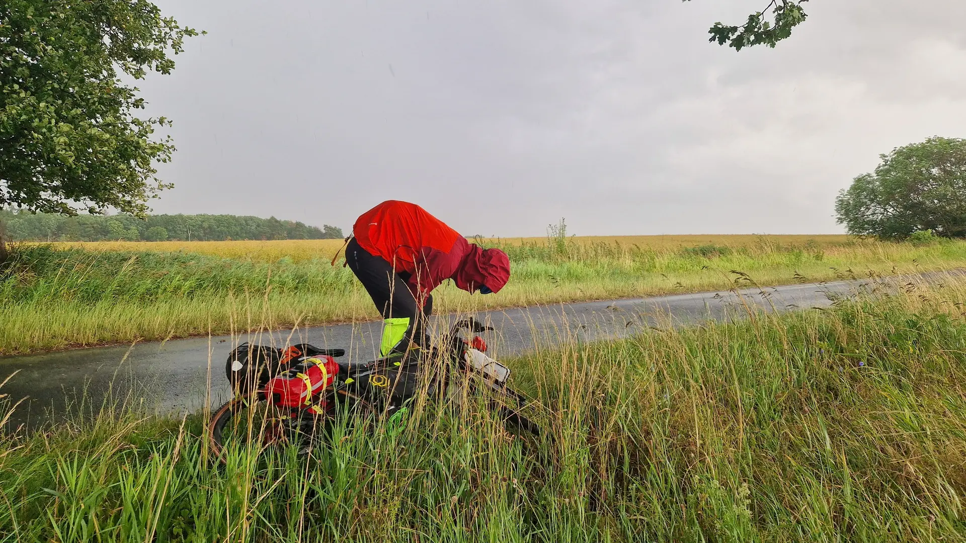 Regen in Mecklenburg-Vorpommern | © Dr. Marit Möhwald