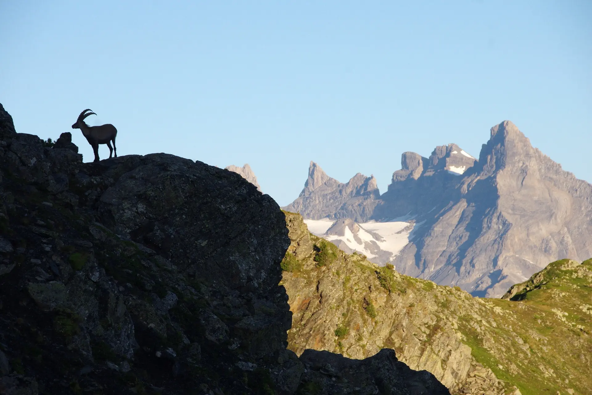 Mont Muveran | © Toni Putz