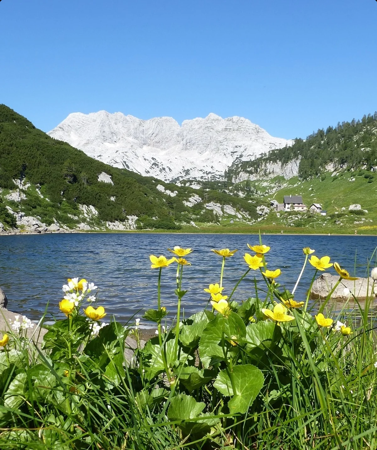Pühringer Hütte | © Dr. Georg Draeger