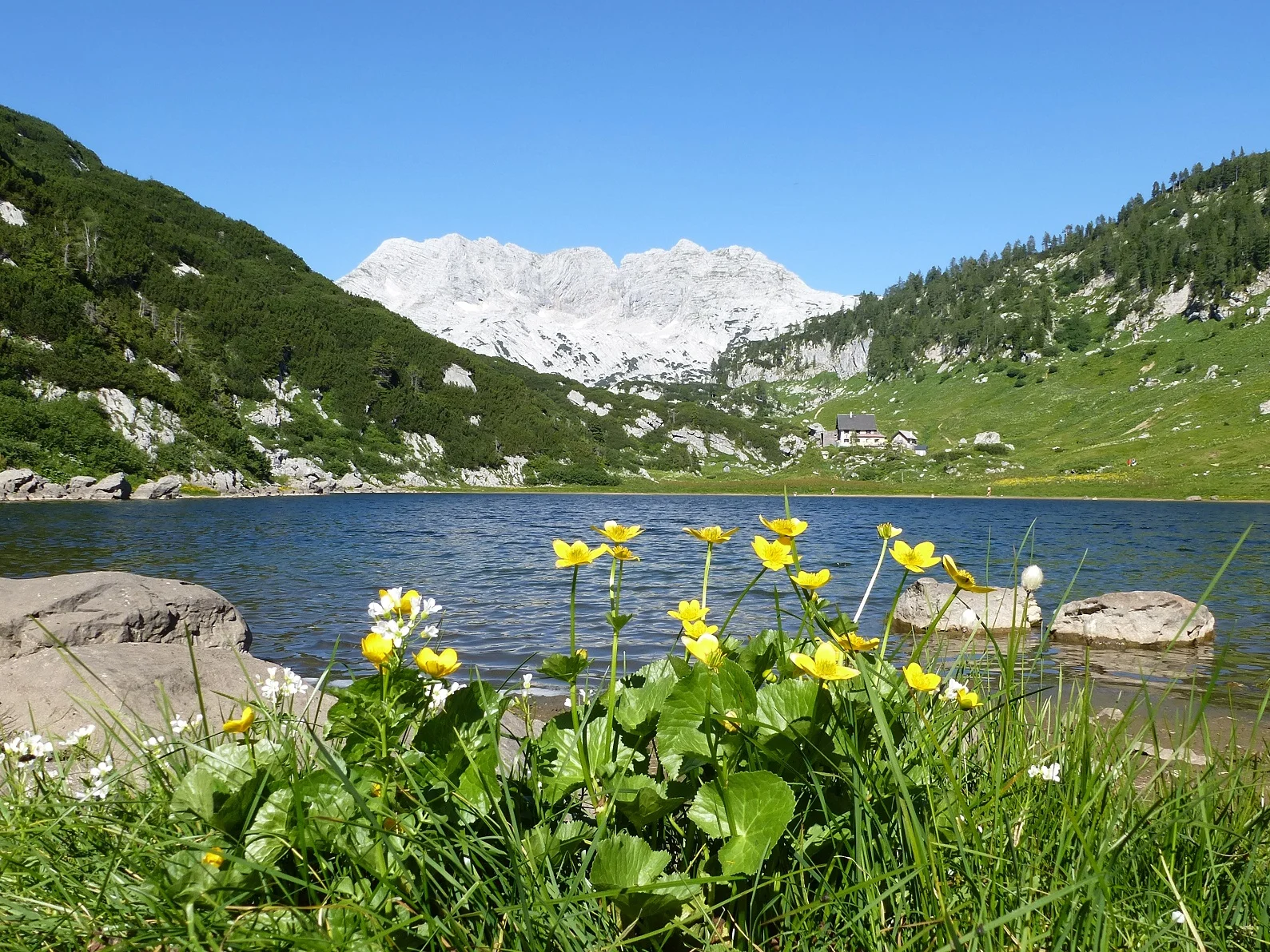 Pühringer Hütte | © Dr. Georg Draeger