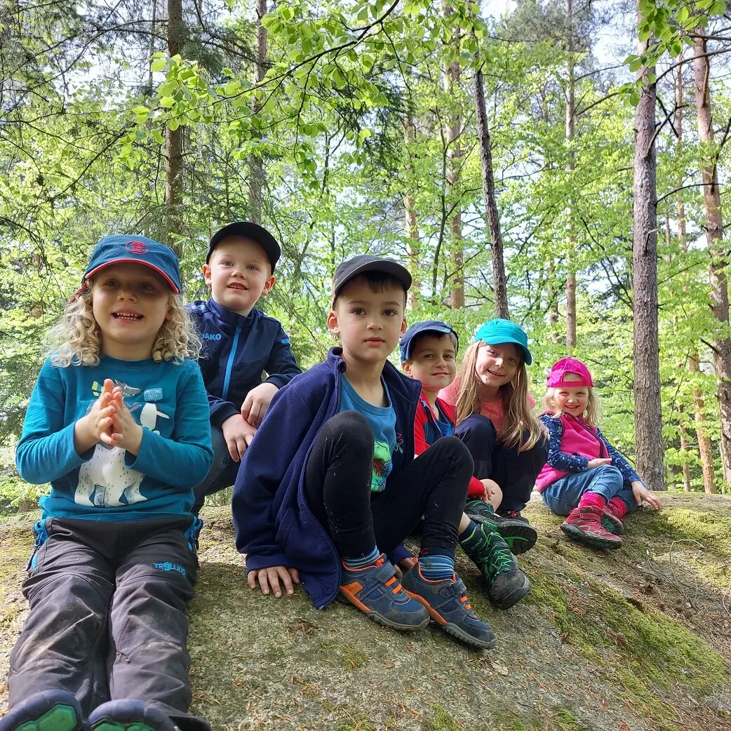 Steinböcke im Ilztal | © Melanie Braun
