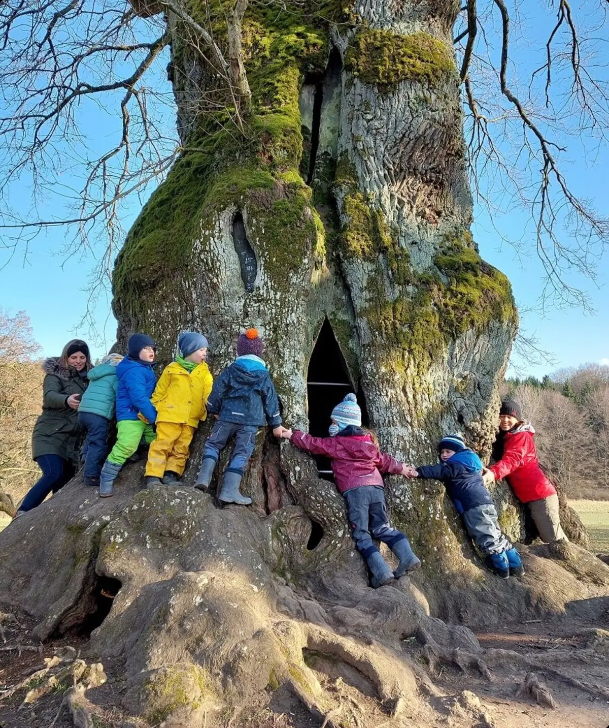 Rund um die Wolfgangseiche | © Melanie Braun