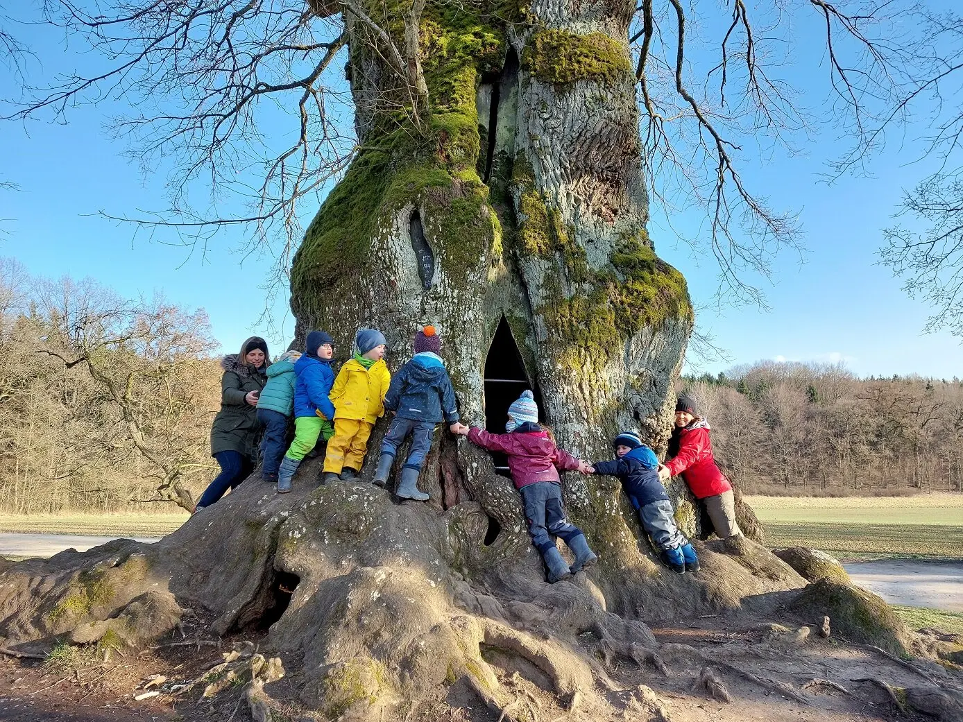 Rund um die Wolfgangseiche | © Melanie Braun