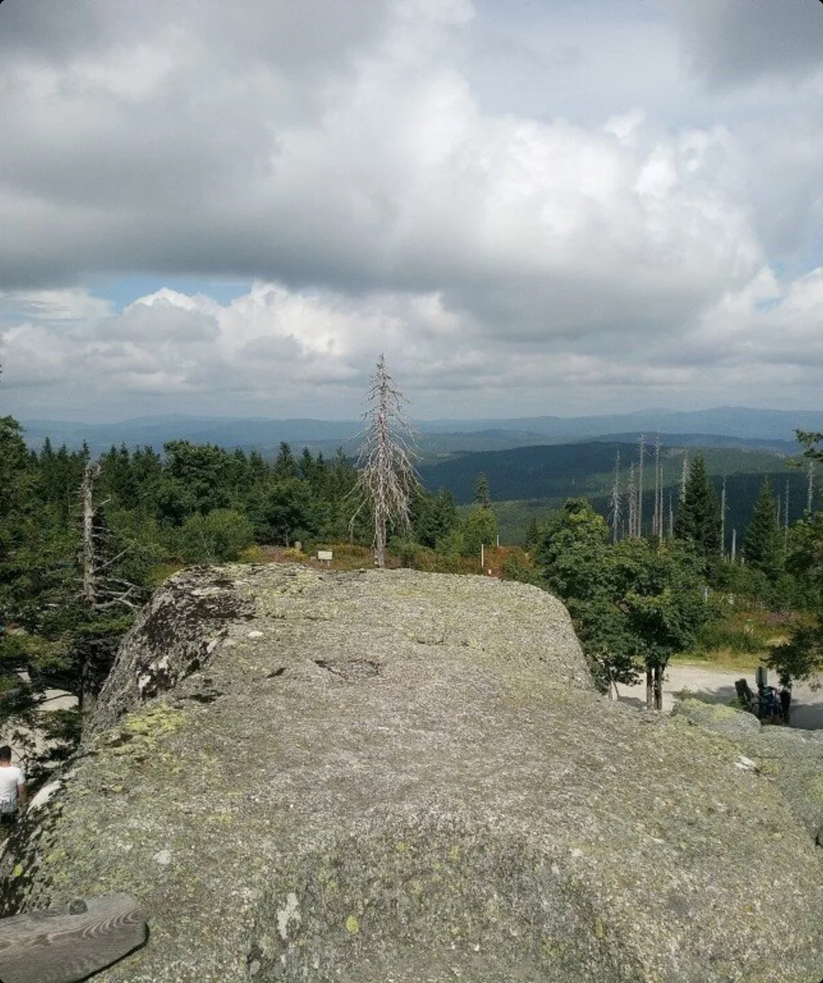 Dreisessel | © Hans Grüneißl