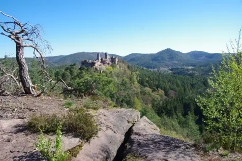 © Ortsgruppe Byerwald