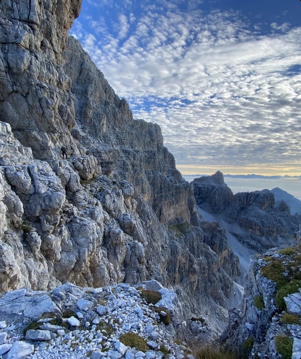 Brenta | © Joachim Hofmann