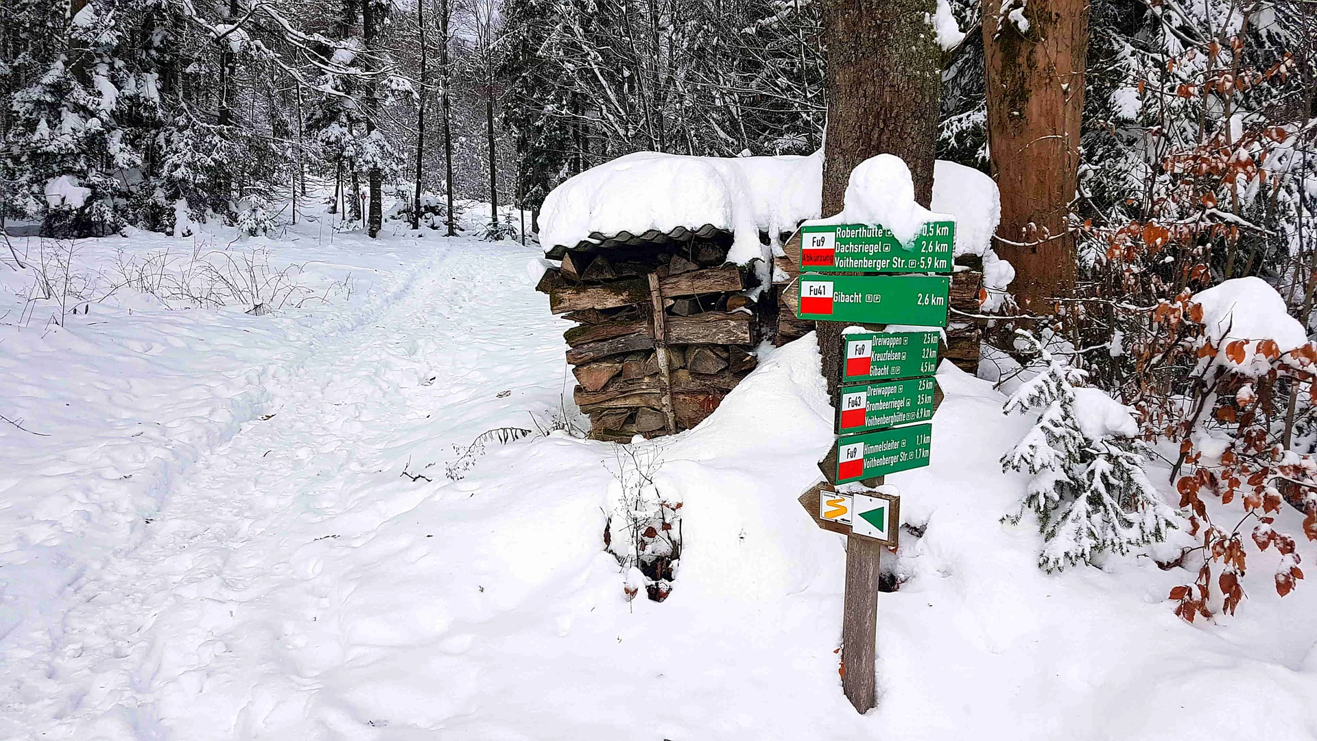 Voithenberg, Abzweig zum Brombeerriegel | © Detlev Reimann