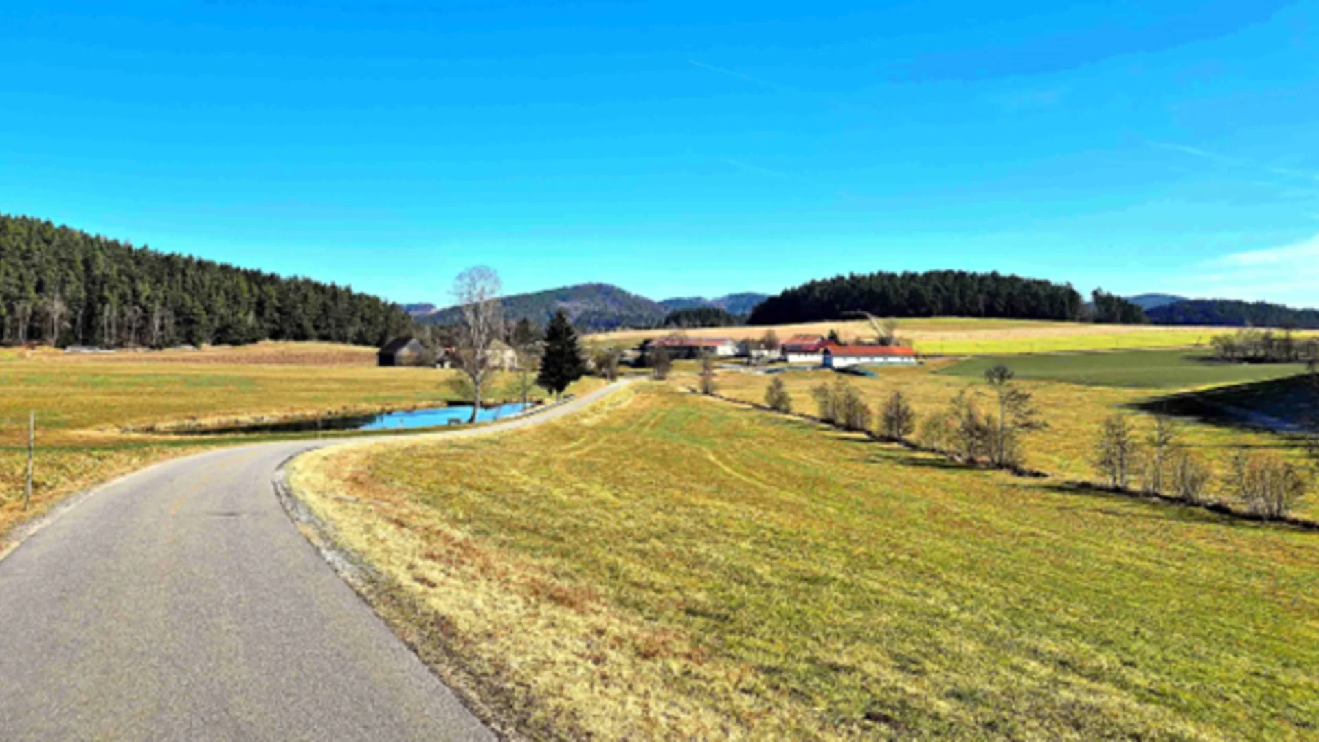 Detlev Reimann | © Detlev Reimann