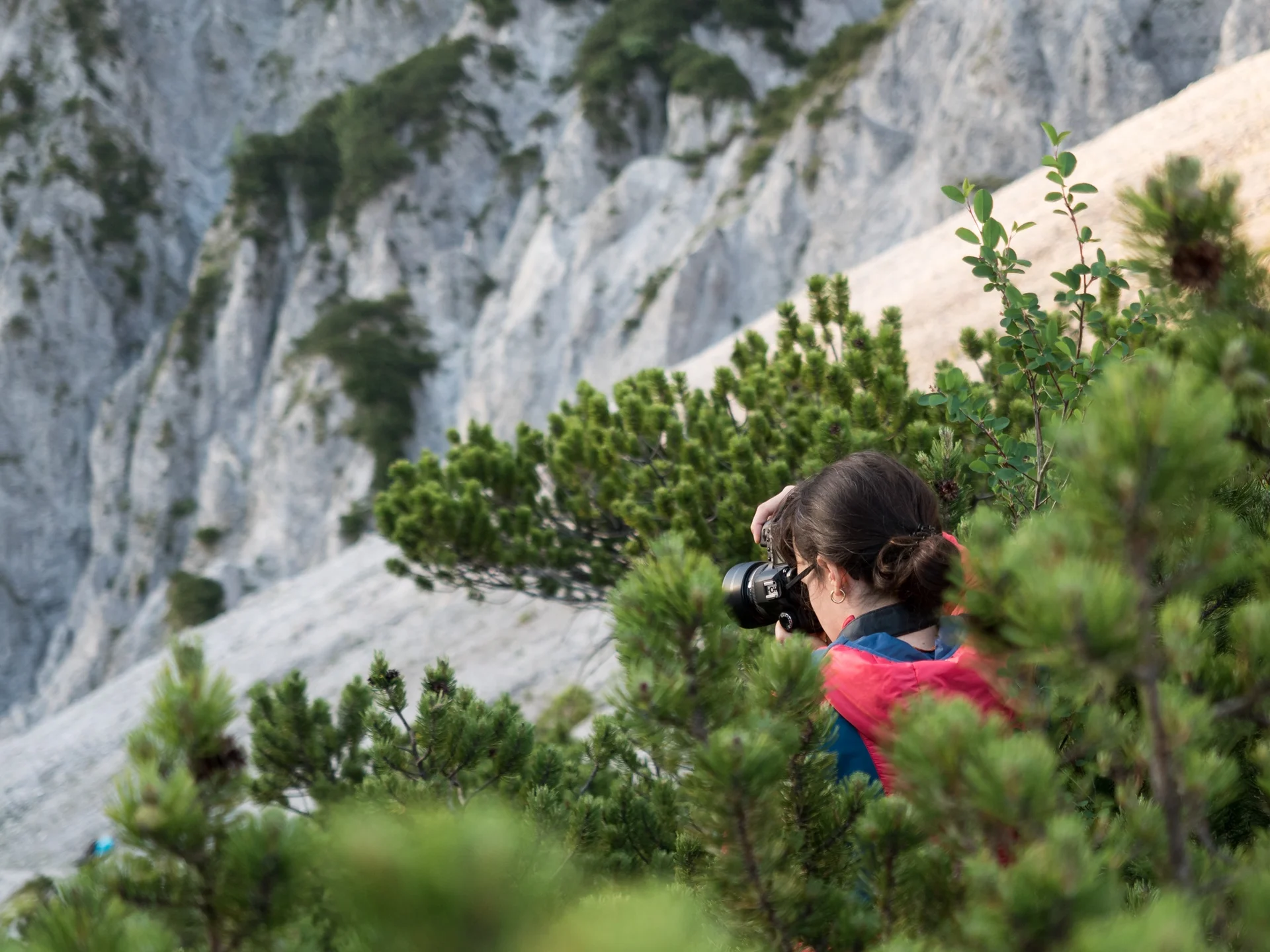 Ingrid Scheufler im Gesäuse. | © Ingrid Scheufler