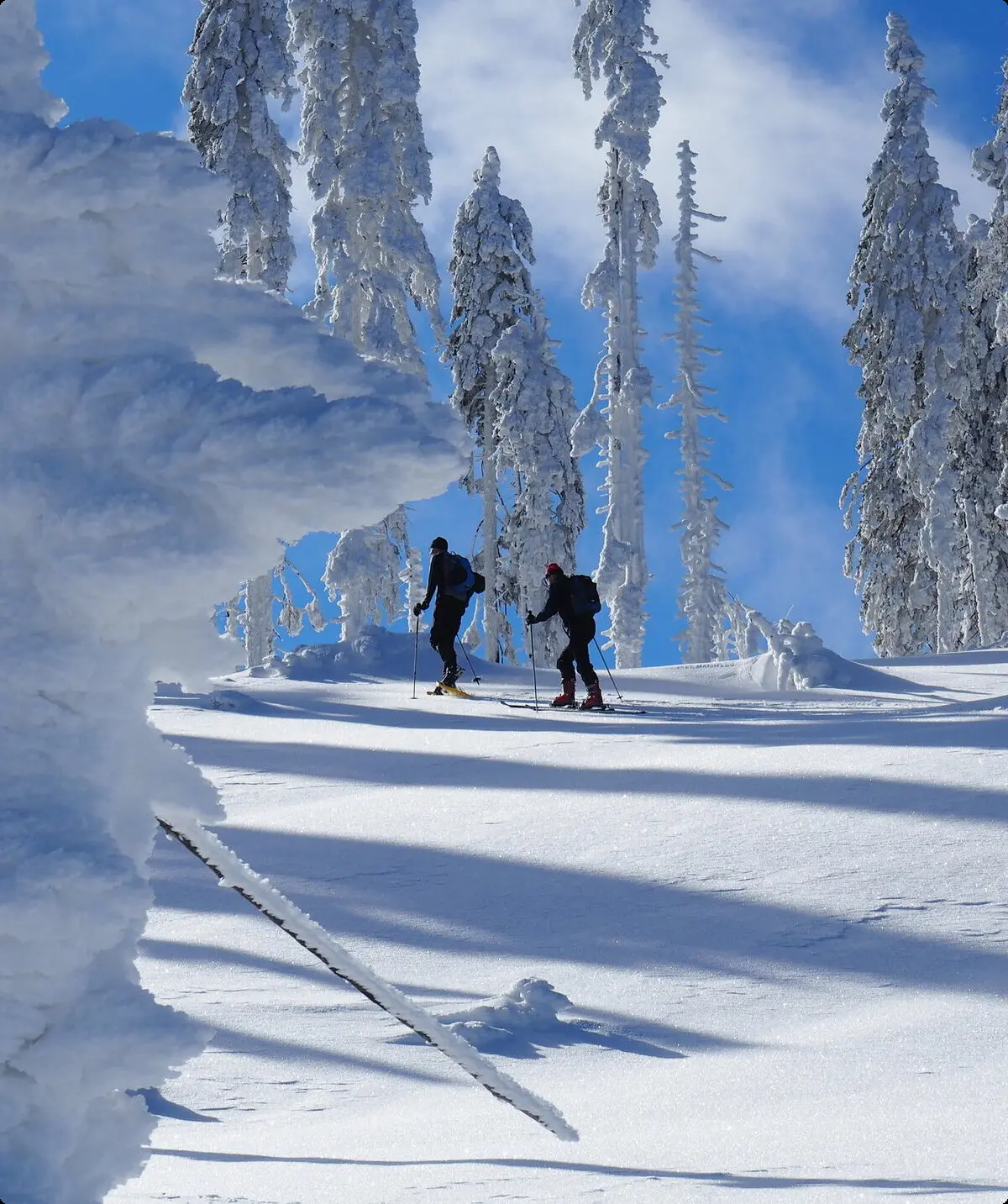 Arber | © Roland Schulz