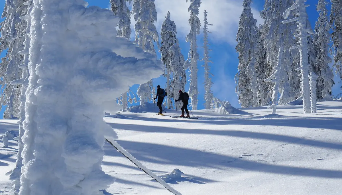 Arber | © Roland Schulz