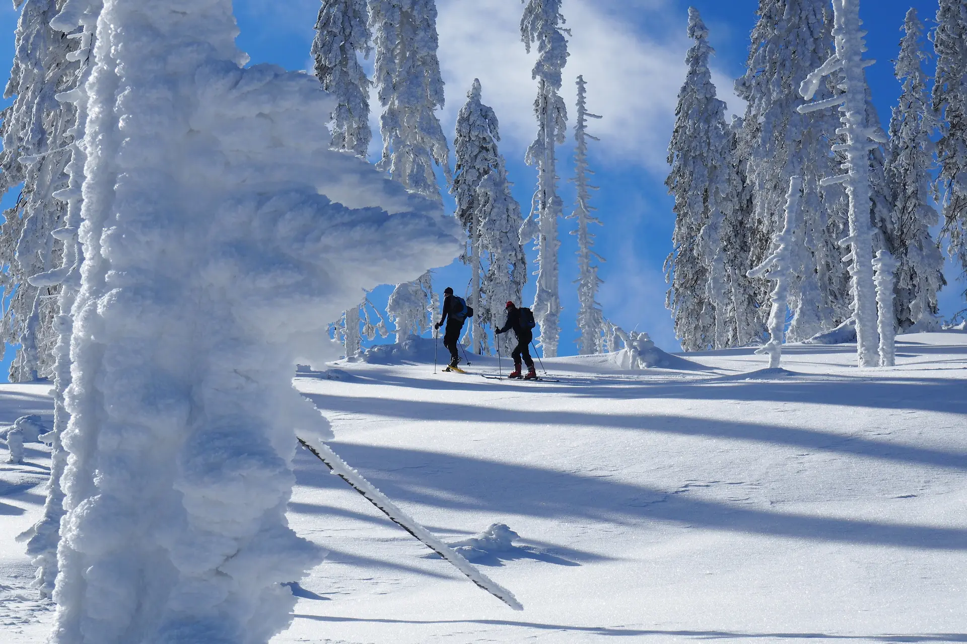 Arber | © Roland Schulz