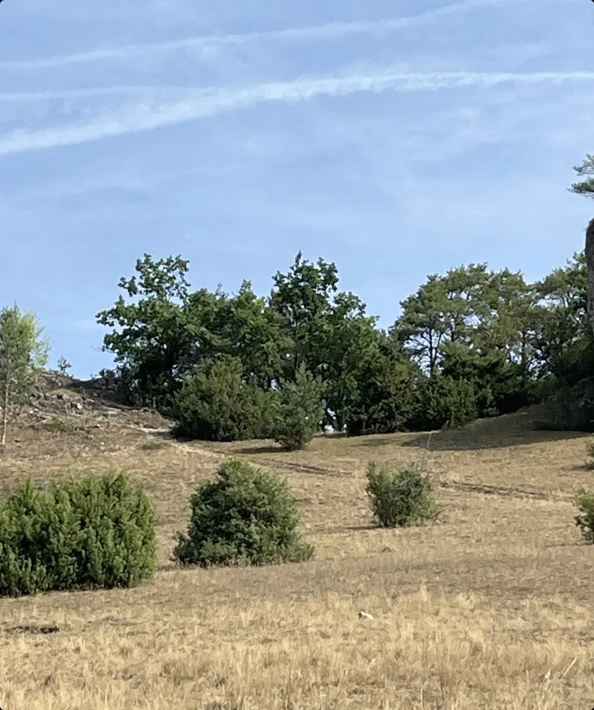 Hutberg | © Petra Alzer