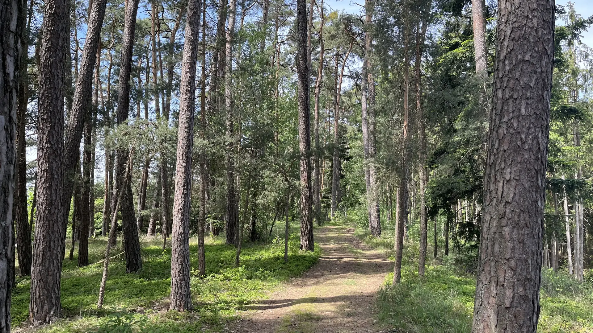 bei Kleinramspau | © Petra Alzer